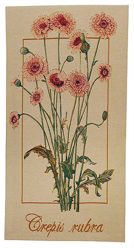 Crepis Rubra tapestry - French wall tapestries for sale