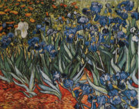 Irises in Garden tapestry - Van Gogh art tapestries