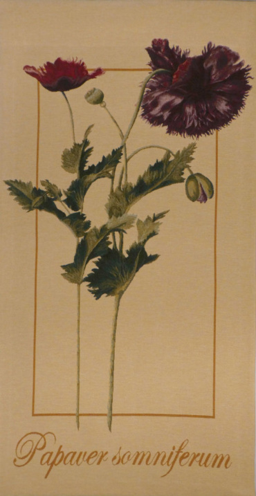 Papaver Somniferum tapestry - French botanical tapestries