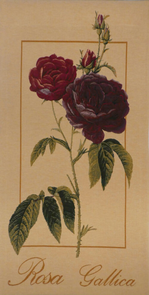 Rosa Gallica tapestry - French floral tapestries - Pierre-Joseph Redoute