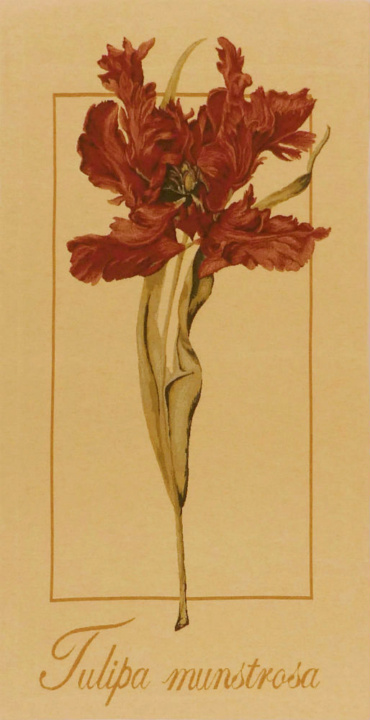 Tulipa Munstrosa tapestry - tulip tapestry wallhanging