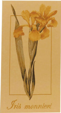 Iris Monnieri tapestry - French botanical wall tapestries
